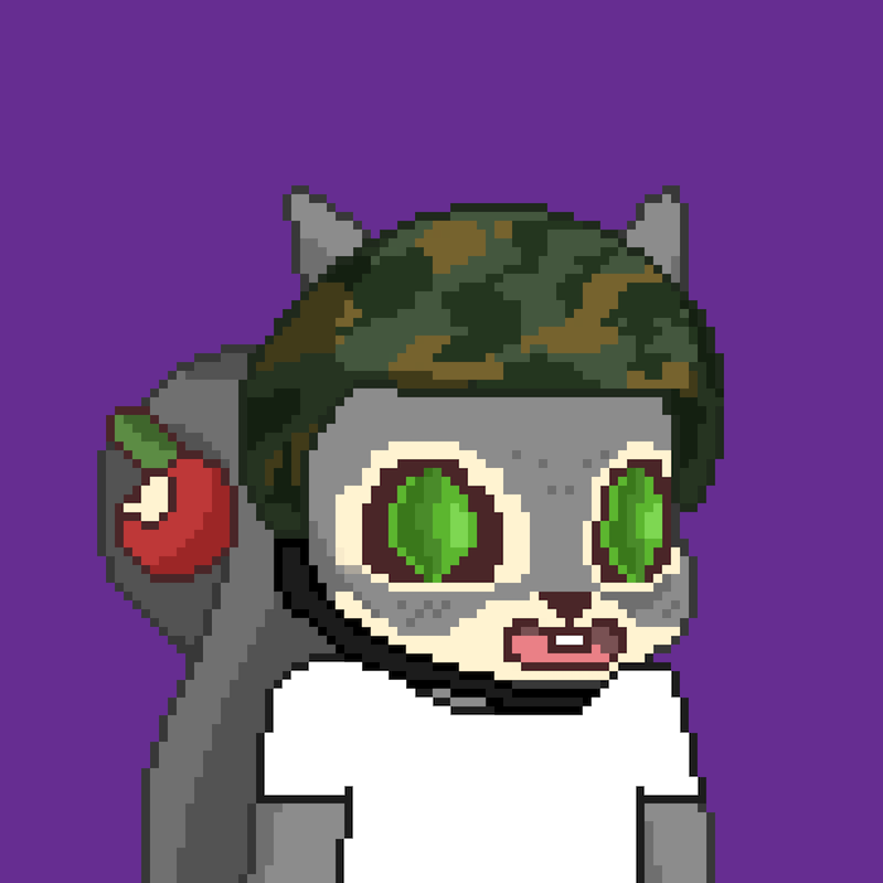 Pixel Squirrels #1647